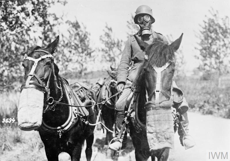 A German transport driver wearing a gas mask riding a horse.