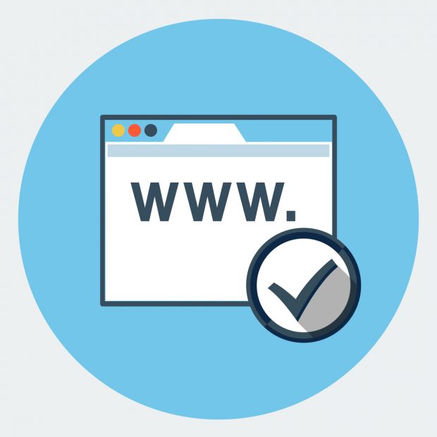 A graphic of a monitor with 'www.' and a tick next to it.