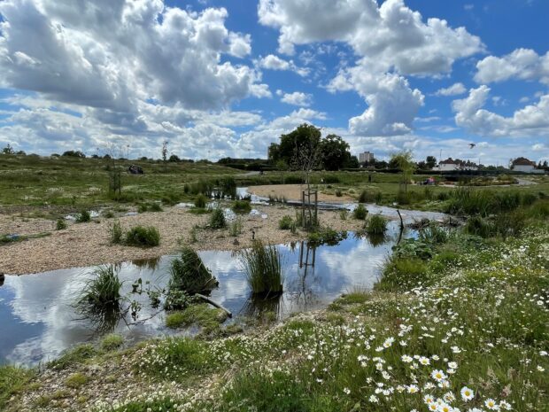 The Environment Agency supports Biodiversity Net Gain