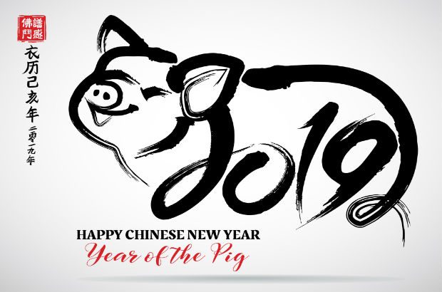 Chinese new year of the pig