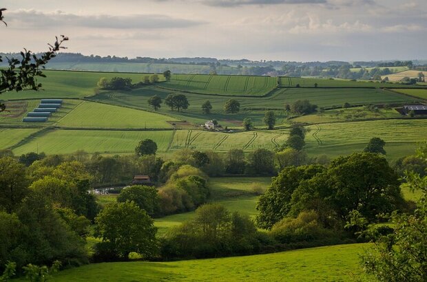 Cullompton Hill
