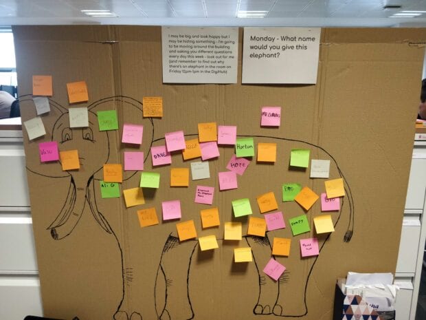 A large square of cardboard in an office with an elephant drawn on it. The elephant is almost covered with different coloured post-it notes.