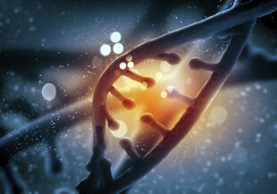 DNA molecule