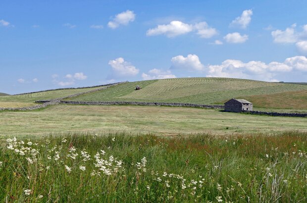 Up on the hill the farmer is turning the grass to help it dry and so get a crop of hay rather than sileage. Photo taken in High Birkwith.