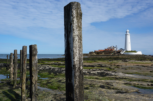 Coquet to St Mary's MCZ
