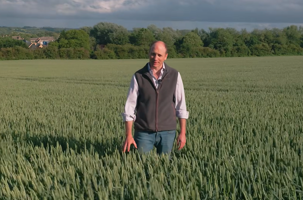 Farmer standing in field under sunny skies