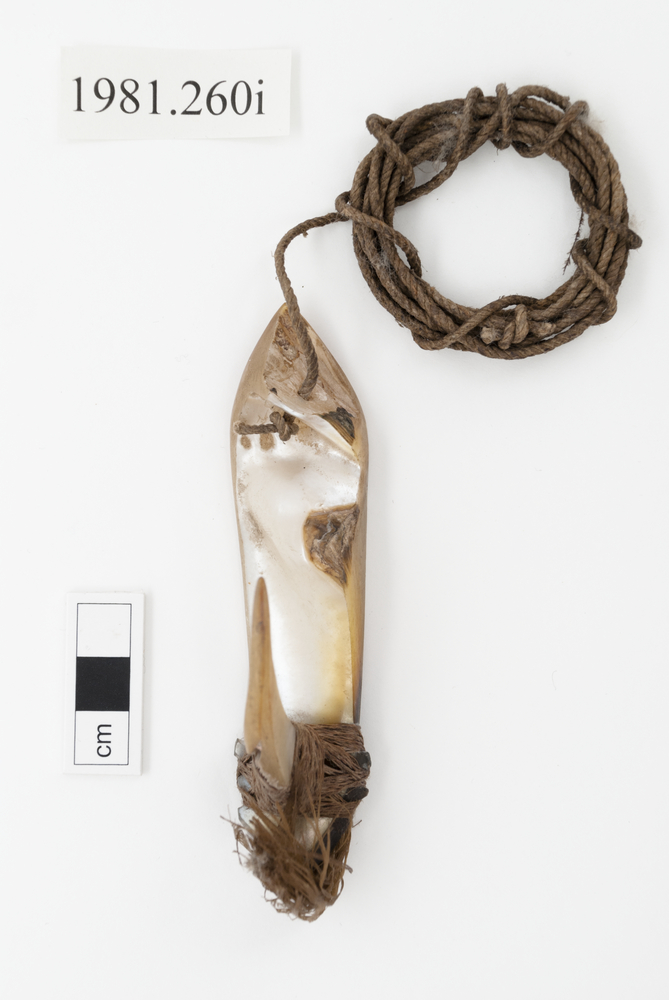 Image of fish hook