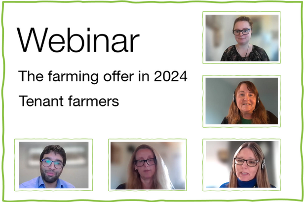 Image featuring tiled headshot of webinar speakers.