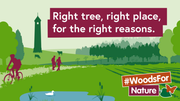 Right tree, right place, for the right reasons.