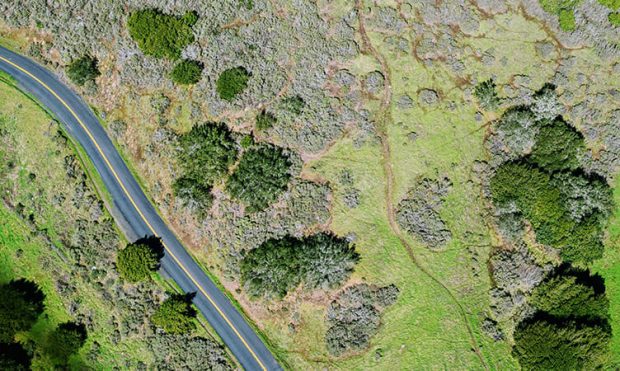 An arial view of a countryside area, populated with different trees and a single road.