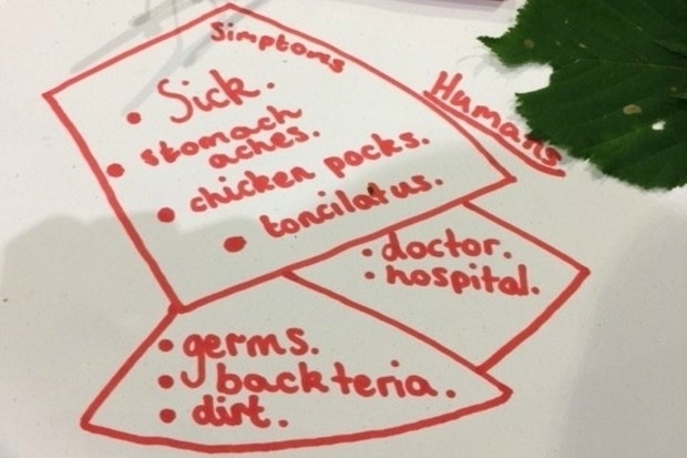 Image of some notes made by the children at the event listing symptoms of illnesses humans may have and some of the illnesses: Sick, stomach aches, chicken pox, tonsillitis, doctor, hospital, germs, bacteria and dirt.