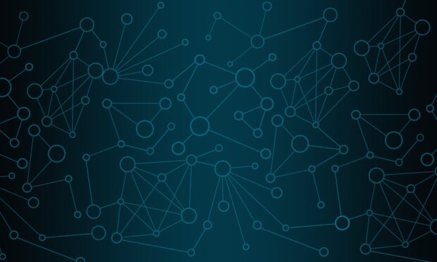 Network image