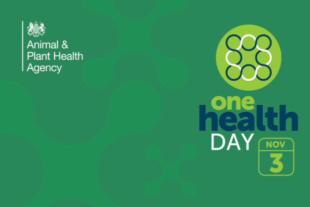 Green background with the APHA logo and text reading, "One Health Day, Nov 3".