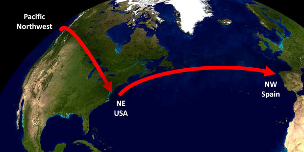 Movement of Vibrios across the world