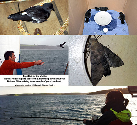 Images from Cruise