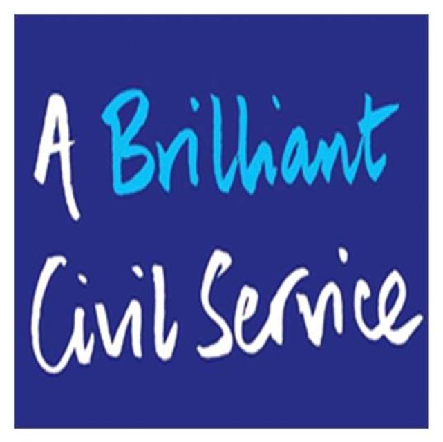 A Brilliant Civil Service Logo