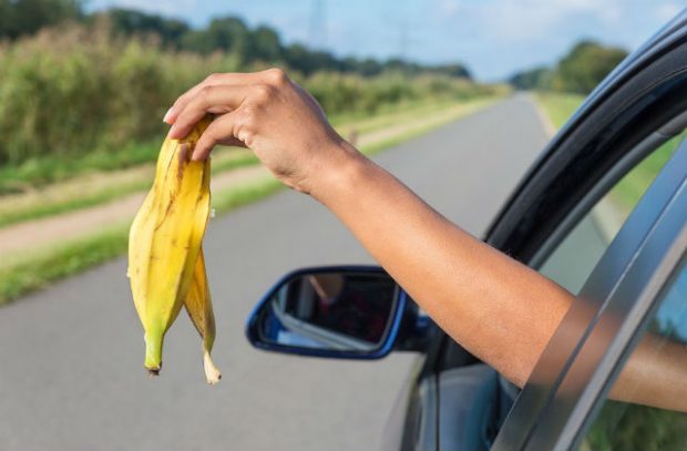 Photo of a hand dropping a banana skin out of a car window