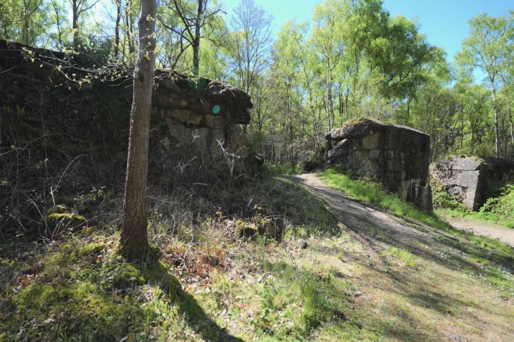 A two metre concrete wall is seen in the countryside, with grass in the foreground and tall trees in the background. The wall has a large hole in the middle, created by ammunition to practice breaching the wall.