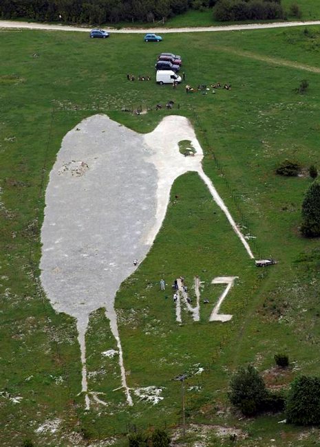Bulford Kiwi chalk monument, Salisbury Plain [Crown copyright/MOD]