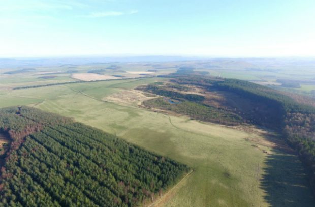A picture, taken from above, which shows thousands of trees in Doddington North Moor.