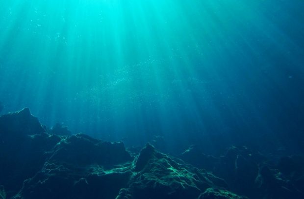 An underwater shot of a seabed