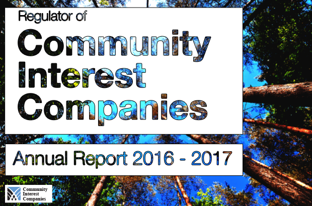 CIC annual report image