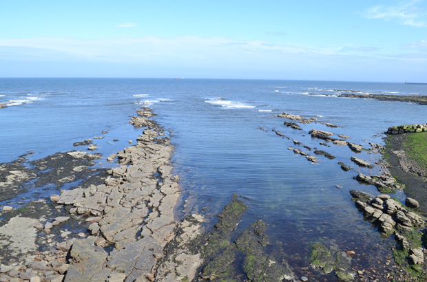 The Marine Information System provides a quick reference to access the East marine plan policies