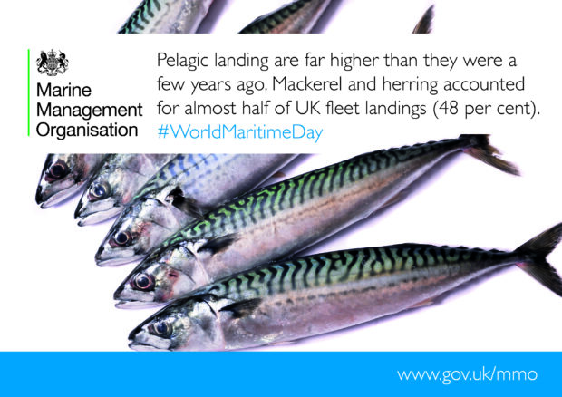 Sea fisheries statistics