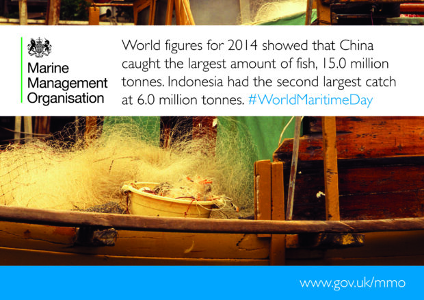 Sea fisheries statistics