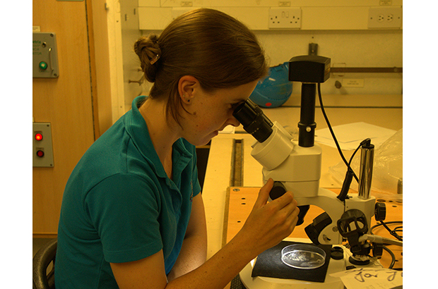 Alison Small in lab