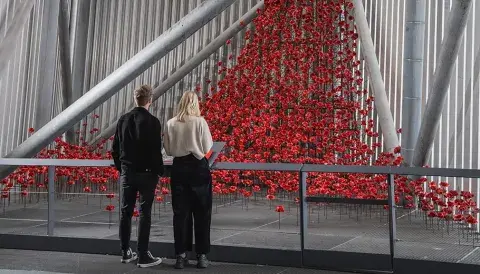 Visitors looking at the Poppies installation at IWM North