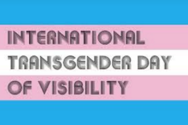 Horizontal blue, pink and white striped banner graphic with legend International Transgender Day of Visibility