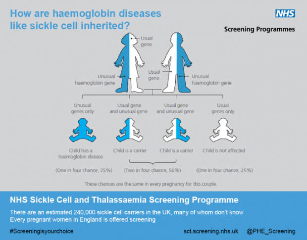 Illustration showing how sickle cell and other haemoglobin diseases are inherited