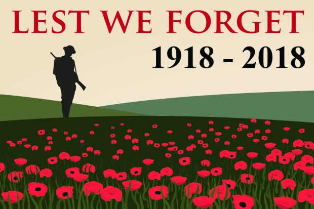 Graphic of poppy fields and soldier silhouette.