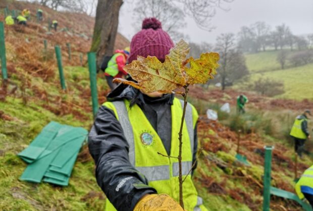 A person holding a large leaf in front of their face wearing gloves and a woolly hat