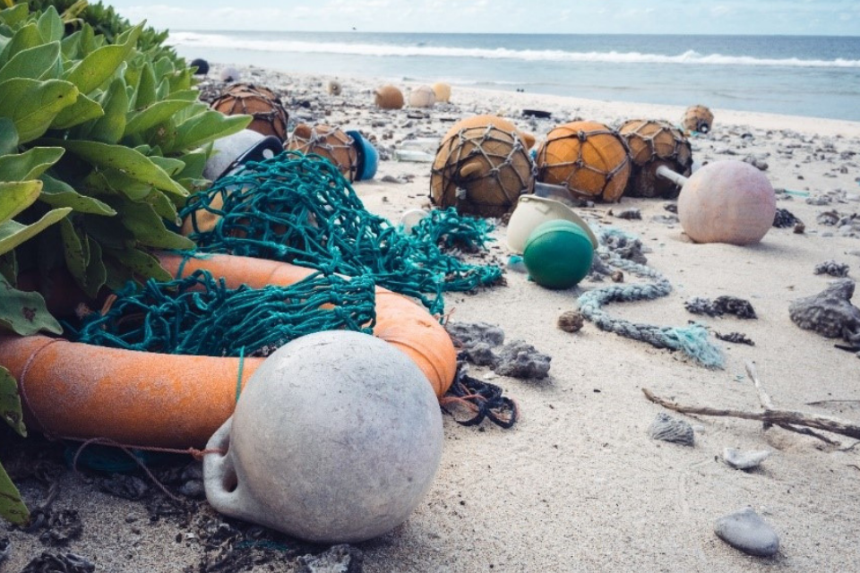 rubbish on a beach