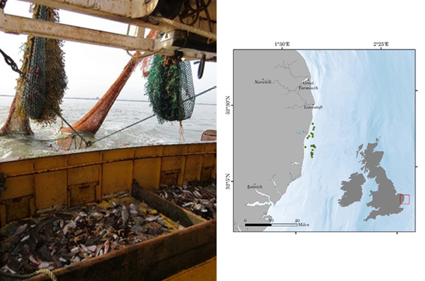 Fish being caught and map of fishing locations