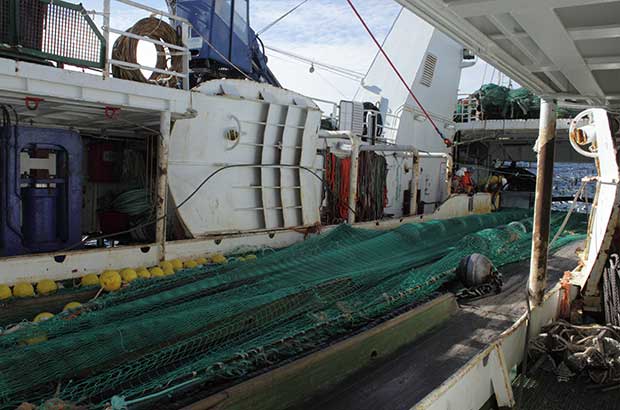 Survey fishing gear on boat's deck