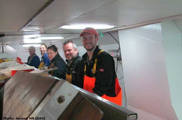 The survey team