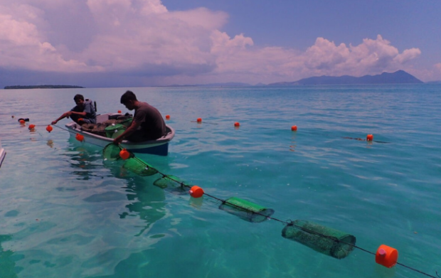 Image of the seaweed farmers in the sea