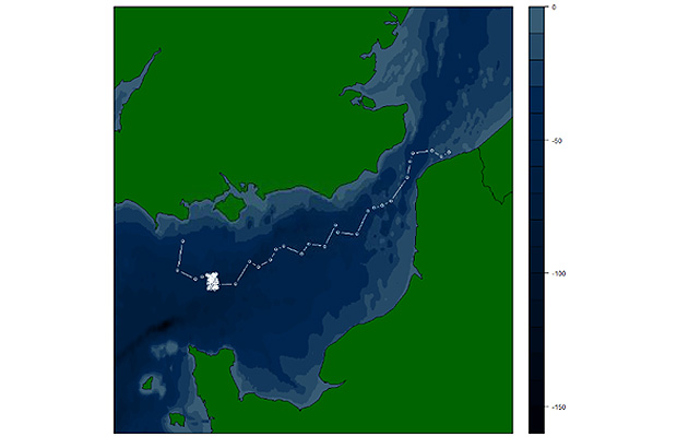 Map showing tagged Sea bass movement