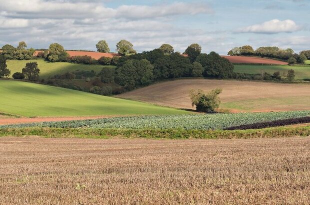 Patchwork of fields in the south-west of England