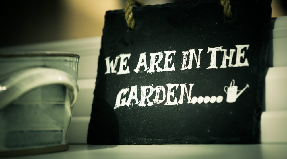 pexels-in-the-garden