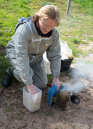 A bee inspector prepares the smoker to pacify the bees