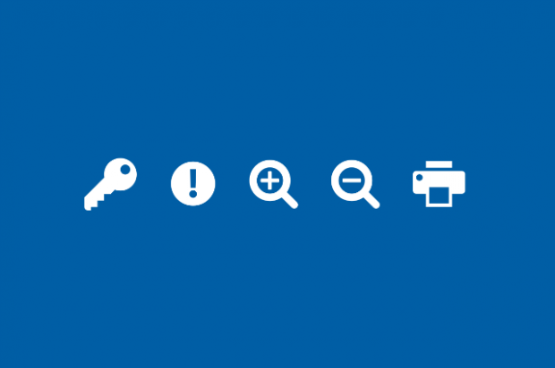 Icons of a key, an exclamation mark, zoom in, zoom out and print