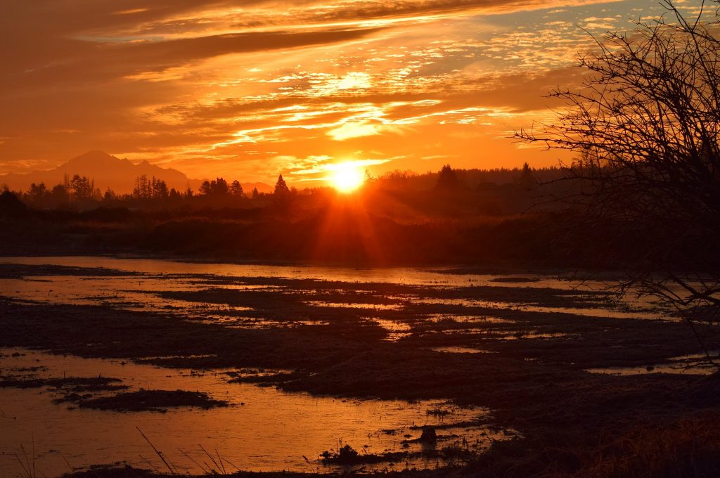A sunrise