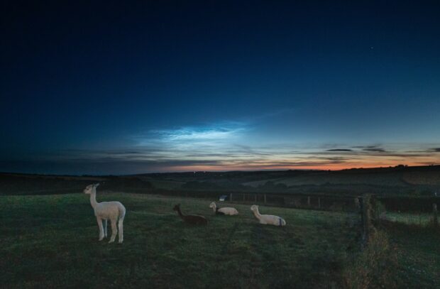 Noctilucent or ‘night-shining’ clouds in the early morning skies above north Cornwall.