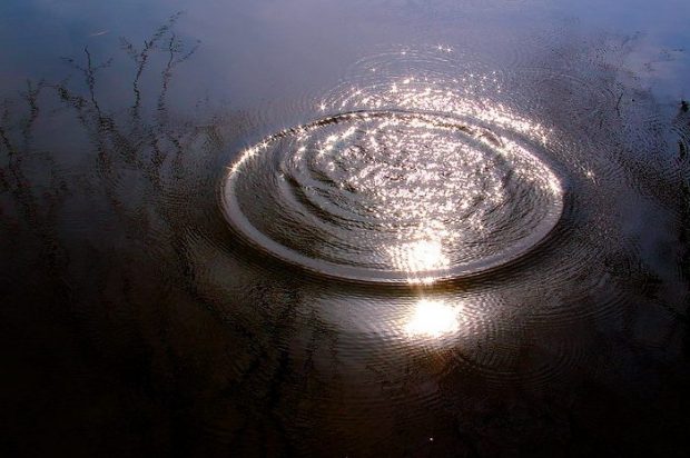 ripples and reflections in a pond