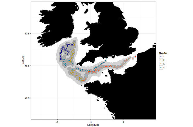 Map of seabass locations over time