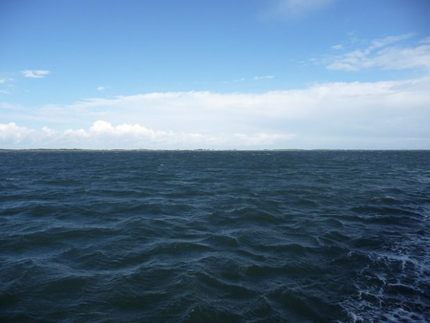 Ocean